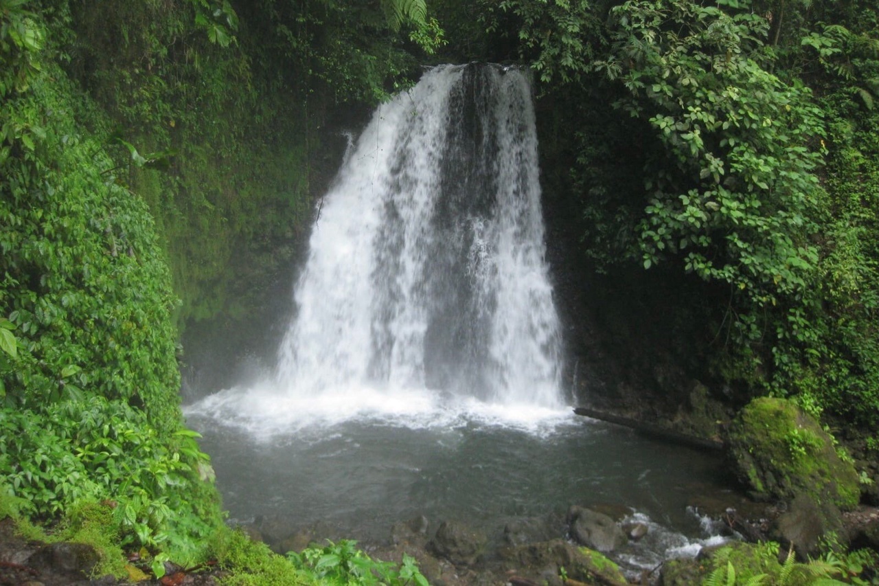 ШОПЛИФТЕРЫ background