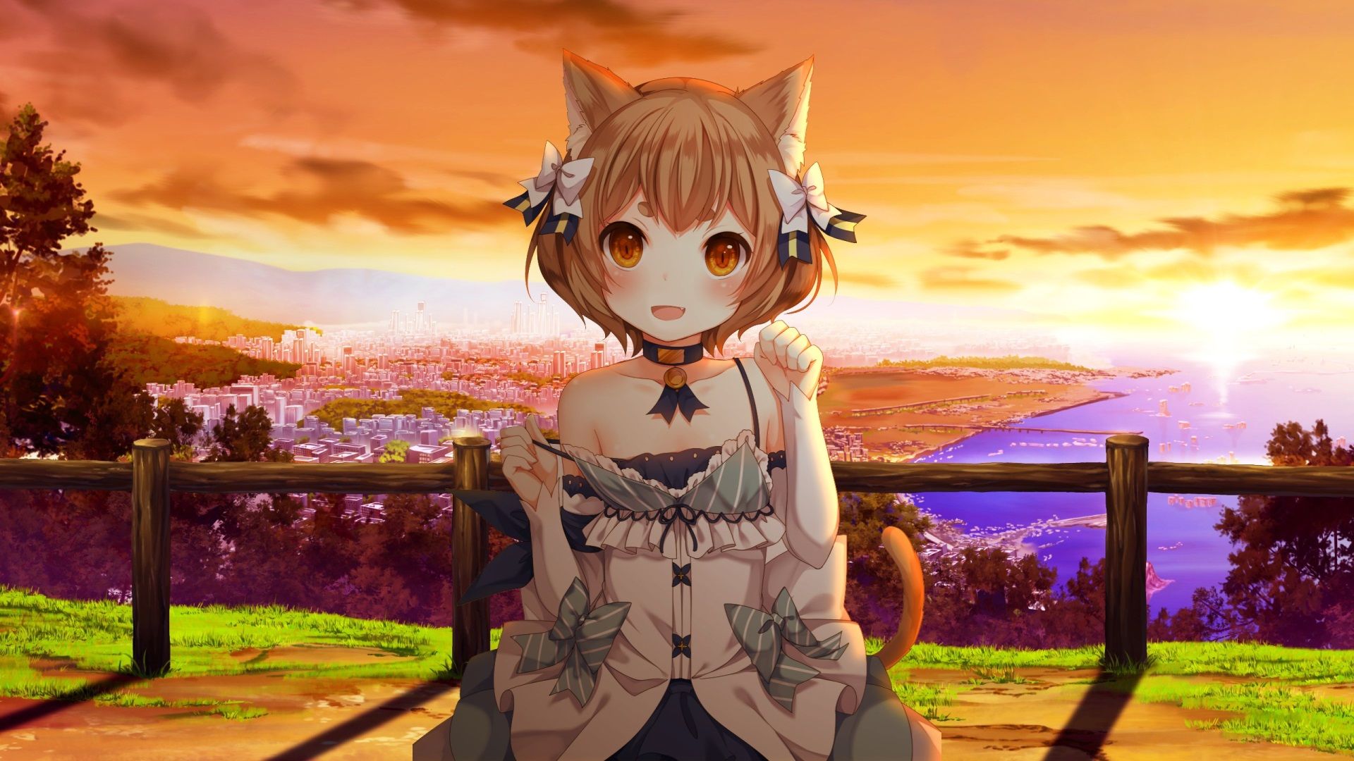 internet background