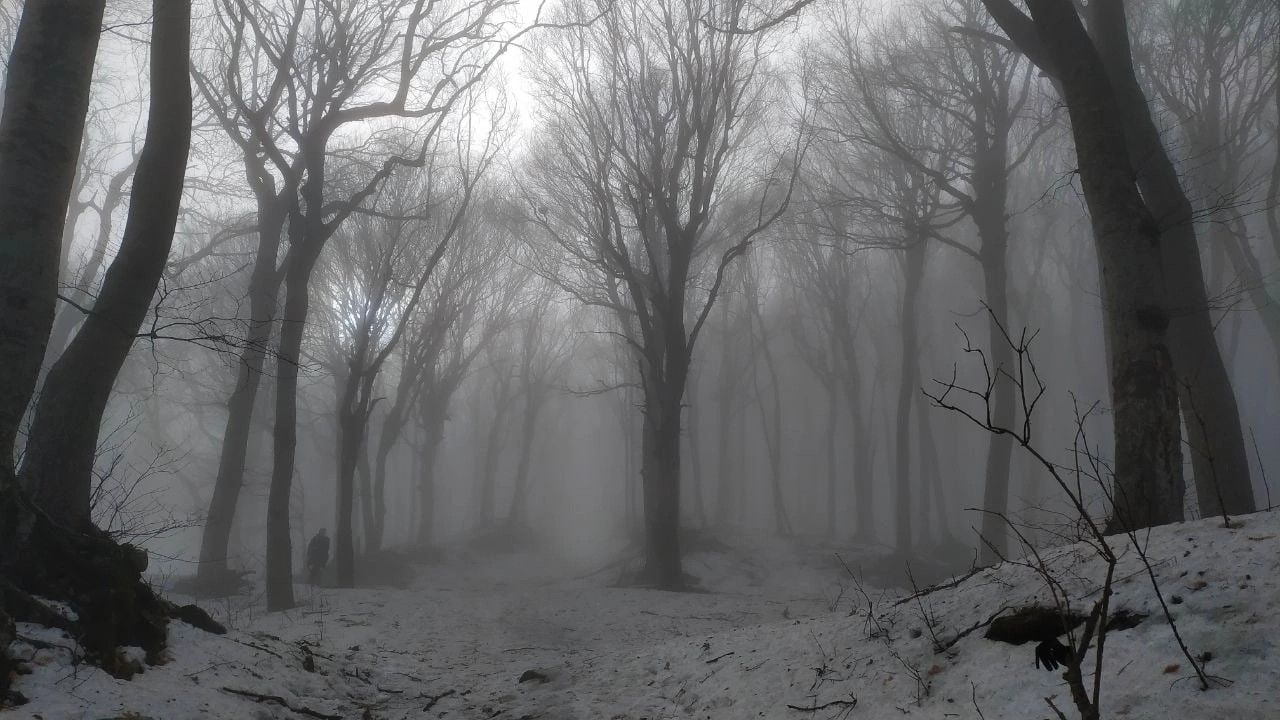 тихим утром декабря background
