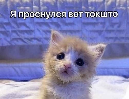 Dont Cry Please... background