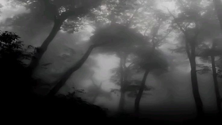 нейротоксикоз background
