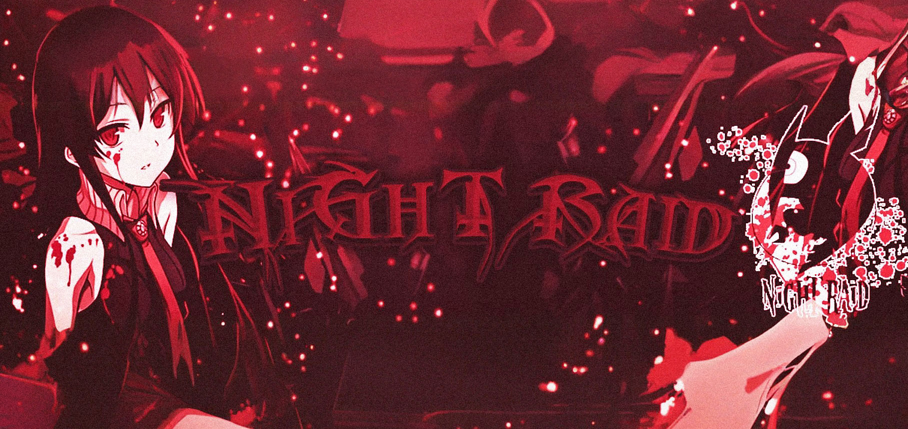 Night.Raid background