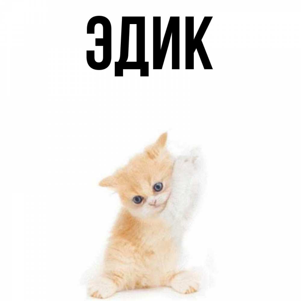 Nucki - VimeTop
